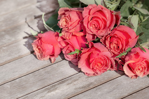 Valkeakosken ammattiopisto, VAAO. Vaaleaa pintaa vasten on laitettu vaaleanpunaisia ruusuja kuusi kappaletta päällekkäin.