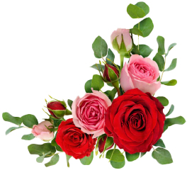 Valkeakosken ammattiopisto, VAAO, piirretty kukkakimppu, punaisia ja vaaleanpunaisia ruusuja.