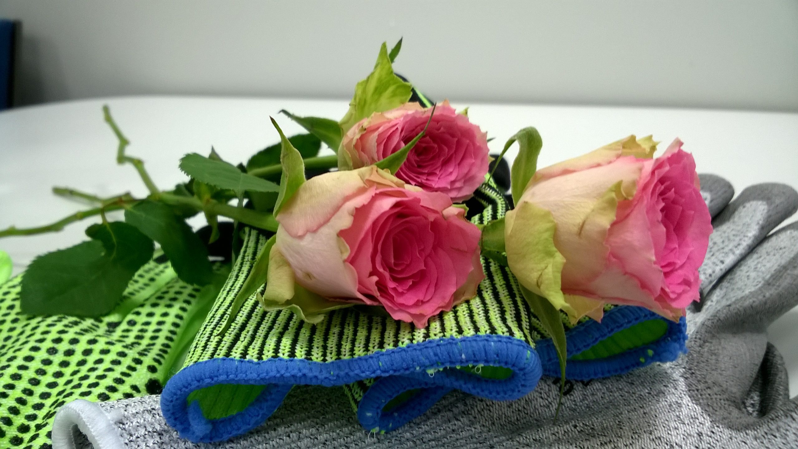Valkeakosken ammattiopisto, VAAO. Kuvassa vihreiden ja harmaiden työhanskojen päällä lepää kolme vaaleanpunaista ruusua.