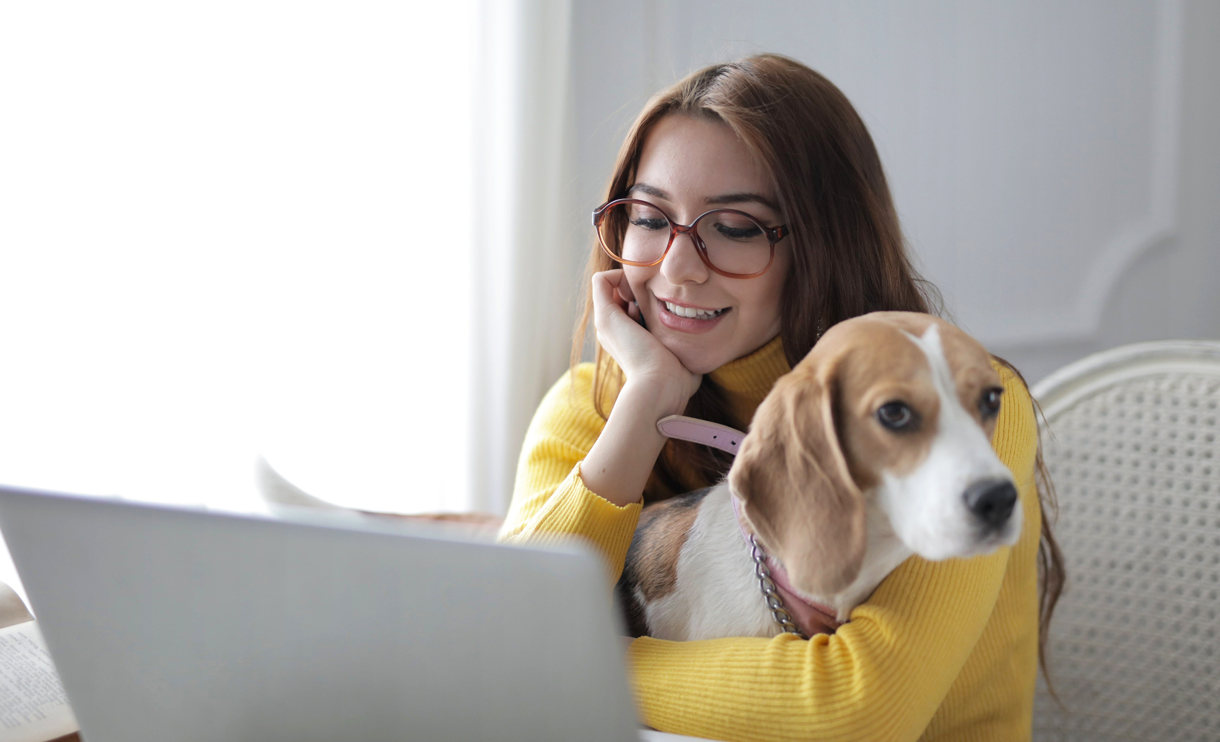 Nainen koira sylissään istuu kannettavan tietokoneen eli "läppärin" ääressä.